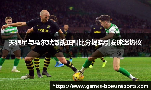 天狼星与马尔默激战正酣比分揭晓引发球迷热议